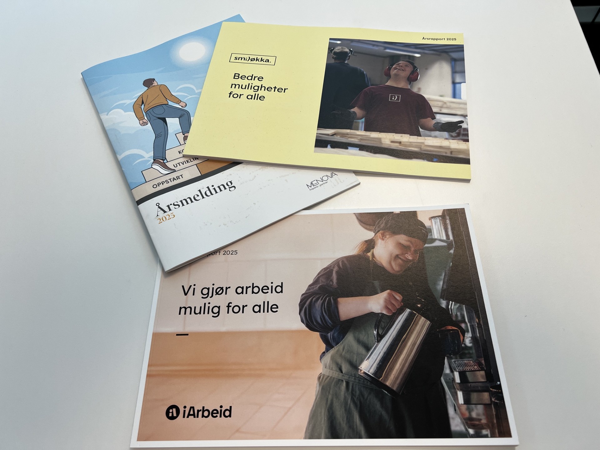 årsrapporter
